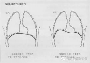 唱歌实用小技巧_写给唱歌初学者的几个建议