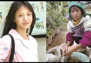 韩安冉谈小英塌房_仅是互联网翻身，非卖惨引流