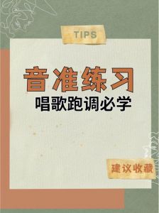 评价唱歌水平_音准情感技巧与个人风格