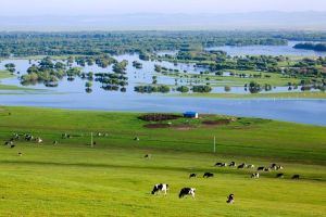 腾格尔代表作_《罗刹海市》——草原风光与人生感悟