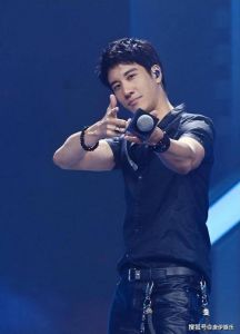 王力宏声音特点分析_音域宽广音色独特音质清晰