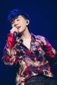 胡彦斌独特音乐魅力解析_高难度演唱技巧与情感深度