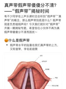 告别假声，找回自然歌声_揭秘与解决发声难题