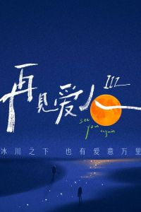 《再见爱人》_价值观碰撞，人性探讨引热议