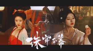 《珠帘玉幕》_古装女性创业传奇，珠宝丝绸之路剧