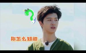 范丞丞演技争议_综艺繁忙与角色定位挑战