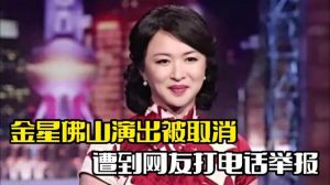 金星演出取消引热议_表现不佳成原罪？多领域受惩
