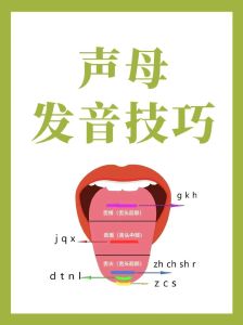 嗓子发声技巧_5步掌握正确发声方法