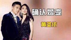 《再见爱人》_黄圣依离婚揭示婚姻心理博弈