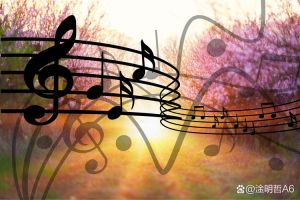 低音与高音_音乐和谐平衡的艺术