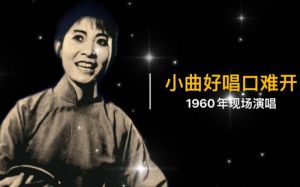 《温柔旋律下的音乐力量_无高音好歌探秘》