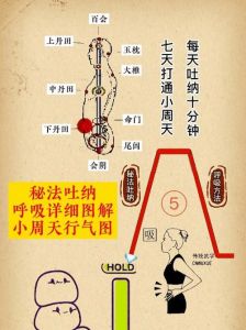 道家呼吸吐纳法_完整修炼指南