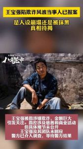 王宝强涉嫌诈骗风波_真相与法律对峙