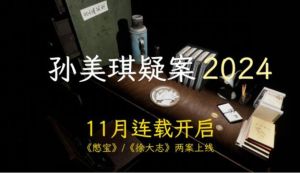 《孙美琪疑案2024》_国产悬疑巨制，推理迷必玩！