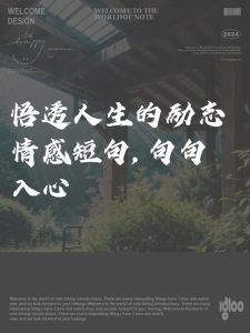 《珠帘玉幕》_情感波折中的励志人生