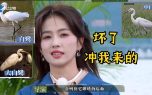 《跑男》新季热议_白鹿拒绝穿越门洞环节，传递积极人生观