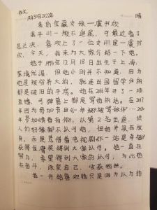 虞书欣深夜发声，剧版哈利波特选角悬念，年末娱乐盛宴来袭