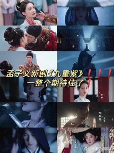 九重紫_黑马崛起，窦昭复仇引热议