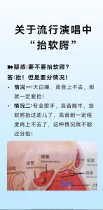 掌握唱歌技巧_提升音质的关键与奥秘揭秘