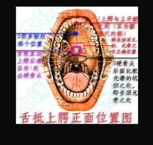 舌抵上颚秘法_传统养生功法中的能量开启之道