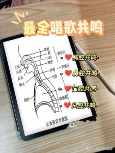 高音共鸣腔体揭秘_口腔到头腔的声音魔法