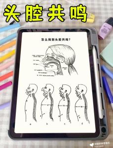 头腔共鸣技巧揭秘_如何避免练习头晕