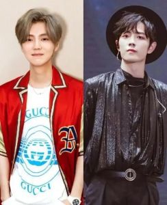 肖战鹿晗音乐演技慈善对决_谁更胜一筹？