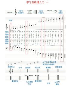 五线谱低音谱表揭秘_速学音符识别技巧