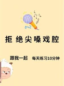 戏曲演唱十二金律_揭秘舞台魅力之源