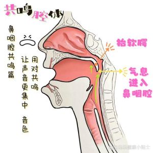 揭秘声乐鼻腔共鸣_提升音色技巧全解析