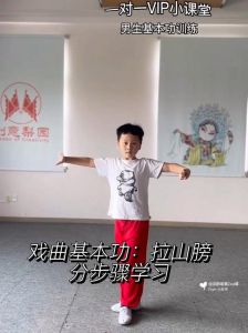 戏曲基本功修炼指南_舞台挥洒自如的艺术之旅