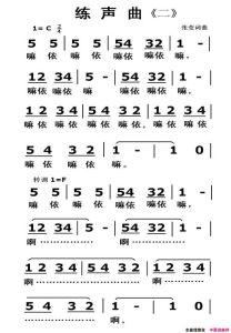 25首声乐入门曲目_开启音乐之旅的关键指南