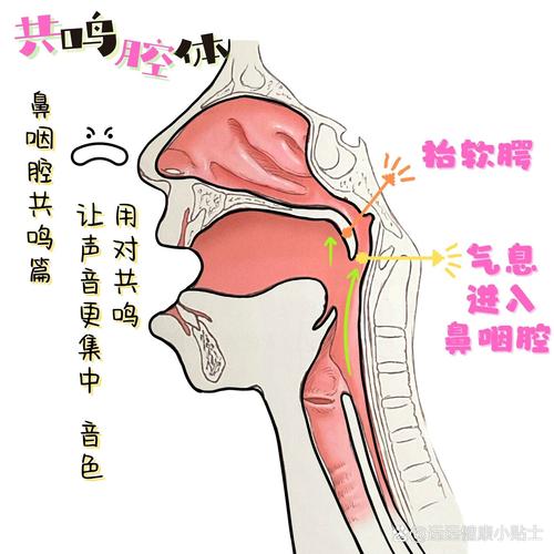 鼻腔共鸣揭秘：声音健康隐患与防治之道