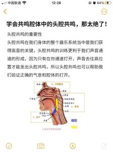 人体共鸣系统声音奥秘与音色音量关键