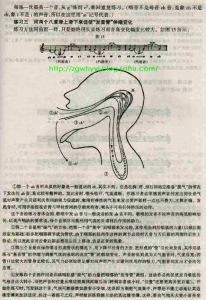 咽音_掌握高音技巧的八大步骤