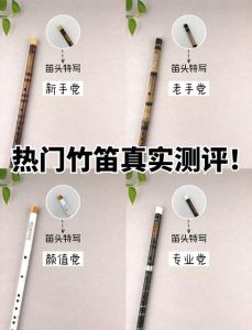 笛子学习指南_适宜人群选购建议与助吹器弊端