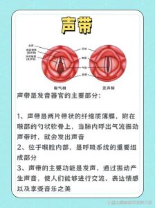 声带变化从童音到低沉嗓音的奥秘与守护