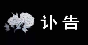 已满18岁带好纸从此转人 成年启航，携手创新教育新篇章