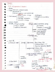 cfa一级笔记 2025资料分享+技巧攻略