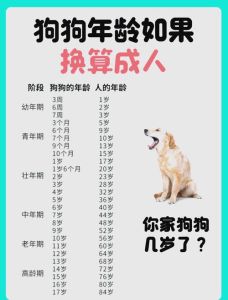 狗能和人生关系吗 千年忠诚伙伴的情感纽带