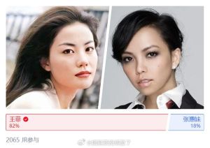 张惠妹和王菲谁更厉害 音乐传奇魅力对决！