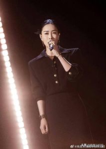 歌手总冠军 音乐与娱乐的平衡之道