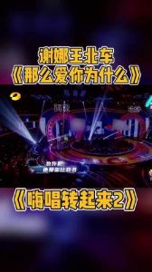 嗨唱转起来第四期嘉宾 谢娜潘玮柏领衔，音乐狂欢夜来袭！