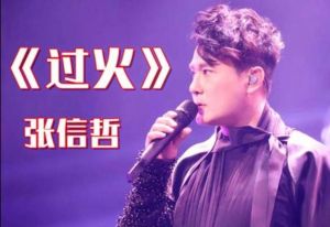 有个男歌手只唱火过一首歌 男歌手传奇人生回顾