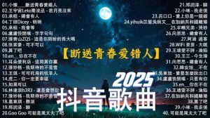 2025音乐源计划被取消的原因 行业矛盾与时代审美碰撞！
