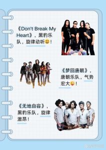 中国摇滚乐队排名，盘点前十名乐队风采