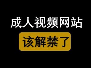 14开处视频网站破，网络监管与用户权益平衡探析