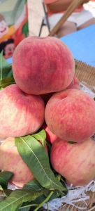 水蜜桃＊-甜蜜记忆，健康美味，品味夏日风情