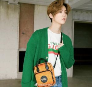 鹿晗现在的人气_鹿晗十年沉浮蜕变，2024回归证明实力