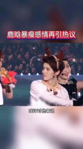 鹿晗和谁一个咖位_实力转型路